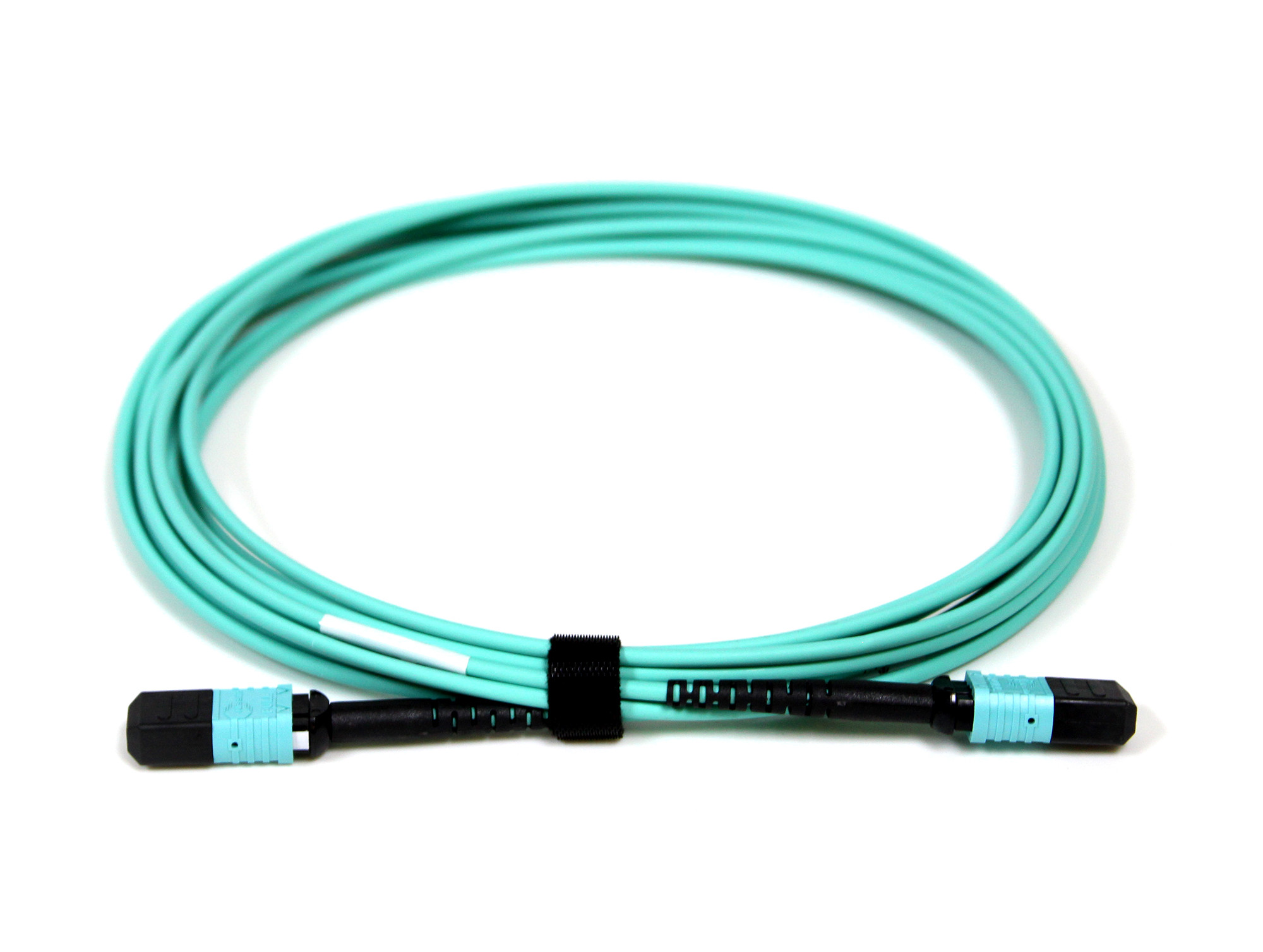 Acconet Patch Lead 12Core MPO Female to MPO Female 5M | Buy Online in South Africa