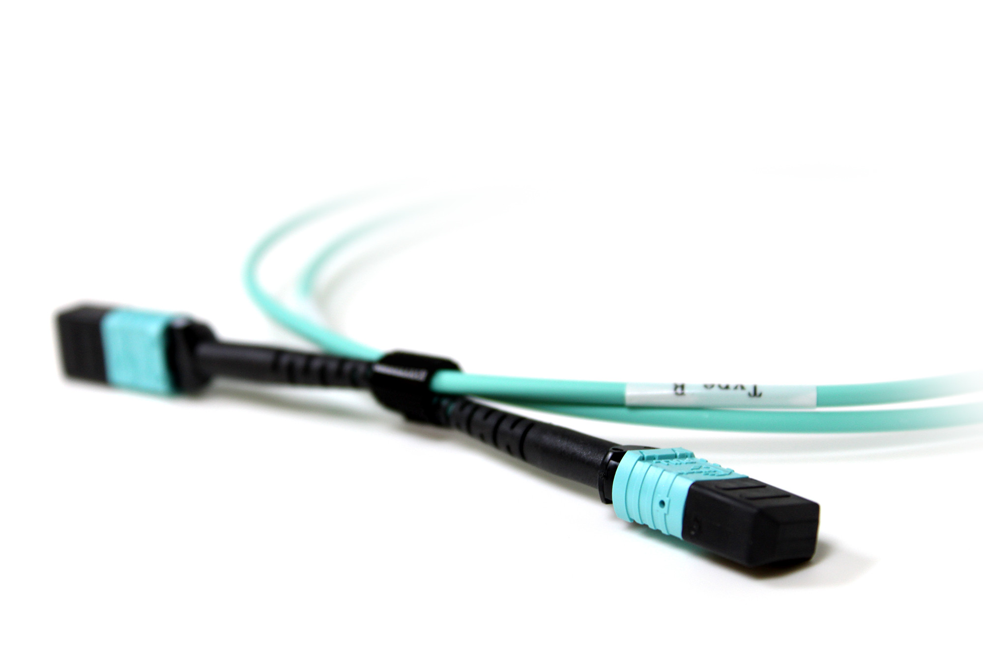 Acconet Patch Lead 12Core MPO Female to MPO Female 1M | Buy Online in South Africa