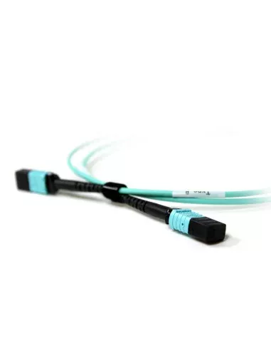 Acconet Patch Lead 12Core MPO Female to MPO Female 2M | Buy Online in South Africa