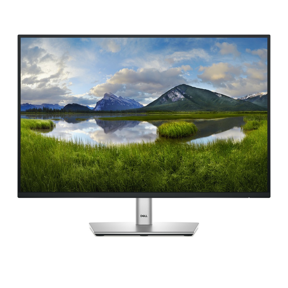 Dell Monitor 24 Pro Plus - Dell | Buy Online in South Africa